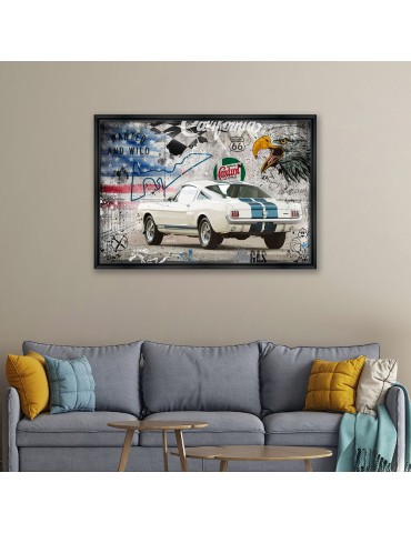 Shelby 65 – Collection Rubix 2