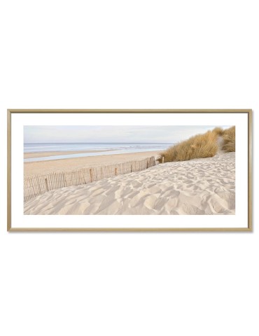 Dune - Collection GF Cohen