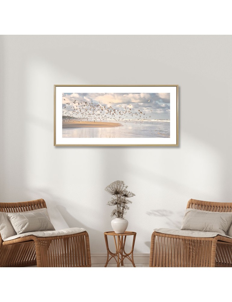 Oiseaux - Collection GF Cohen