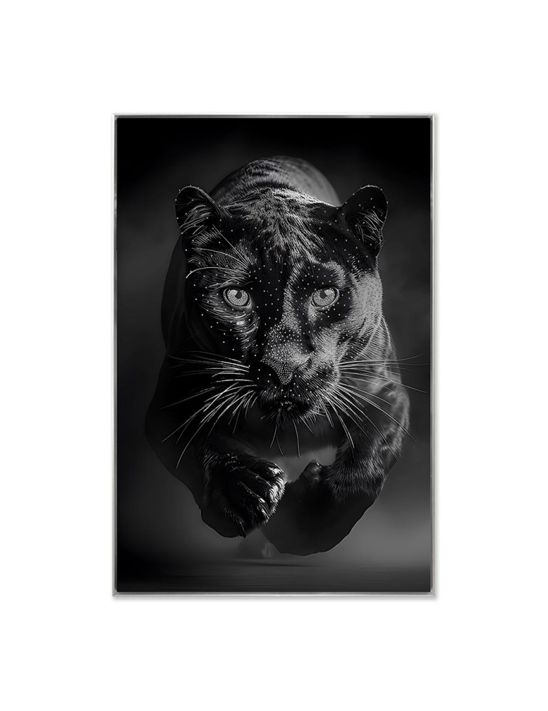 Image encadrée avec gel – 48.167