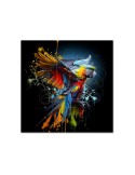 Impression sur verre – Perroquet Color