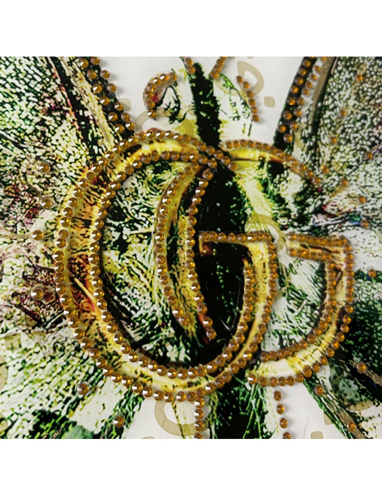 Image encadrée avec gel – 48.172