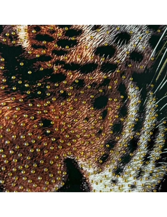 Image encadrée avec gel – 48.159