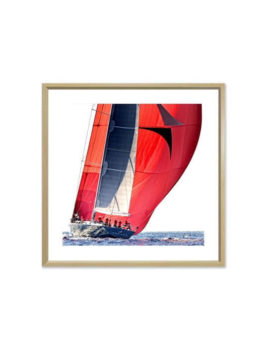 Voiliers sous spi - Collection GF Cohen