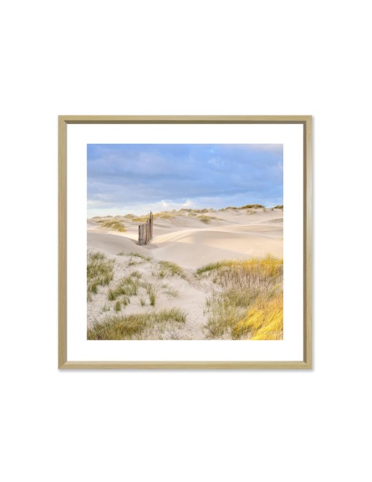 À travers la dune - Collection GF Cohen