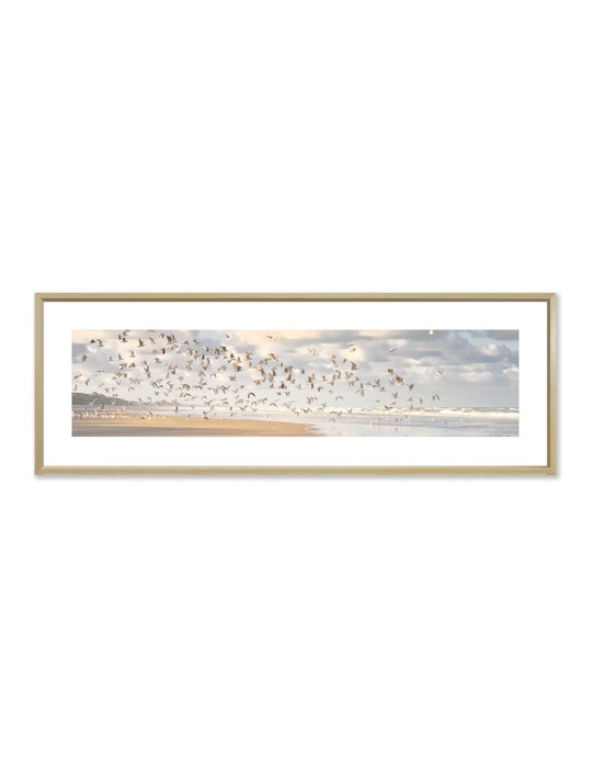Oiseaux - Collection GF Cohen