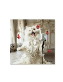 Cat Lover