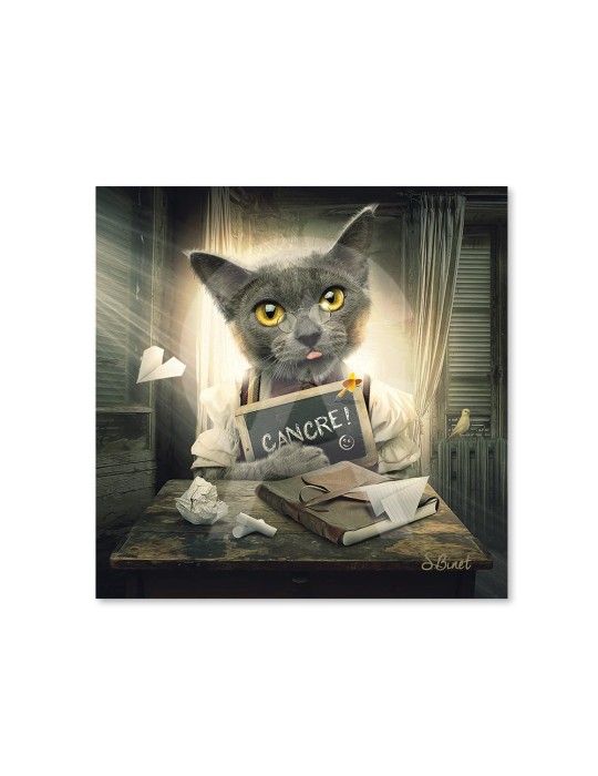 Chat cancre