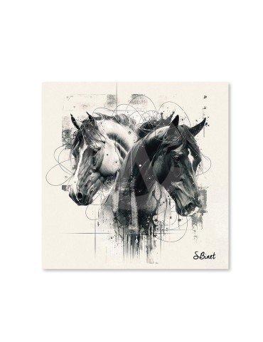Chevaux Doubles NB