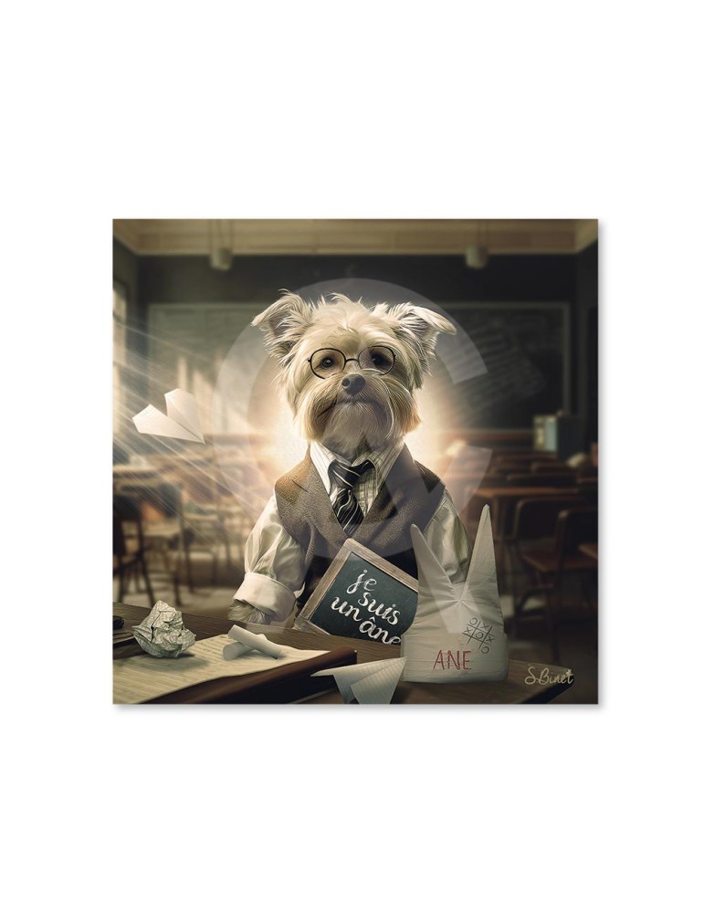 Chien Ecole