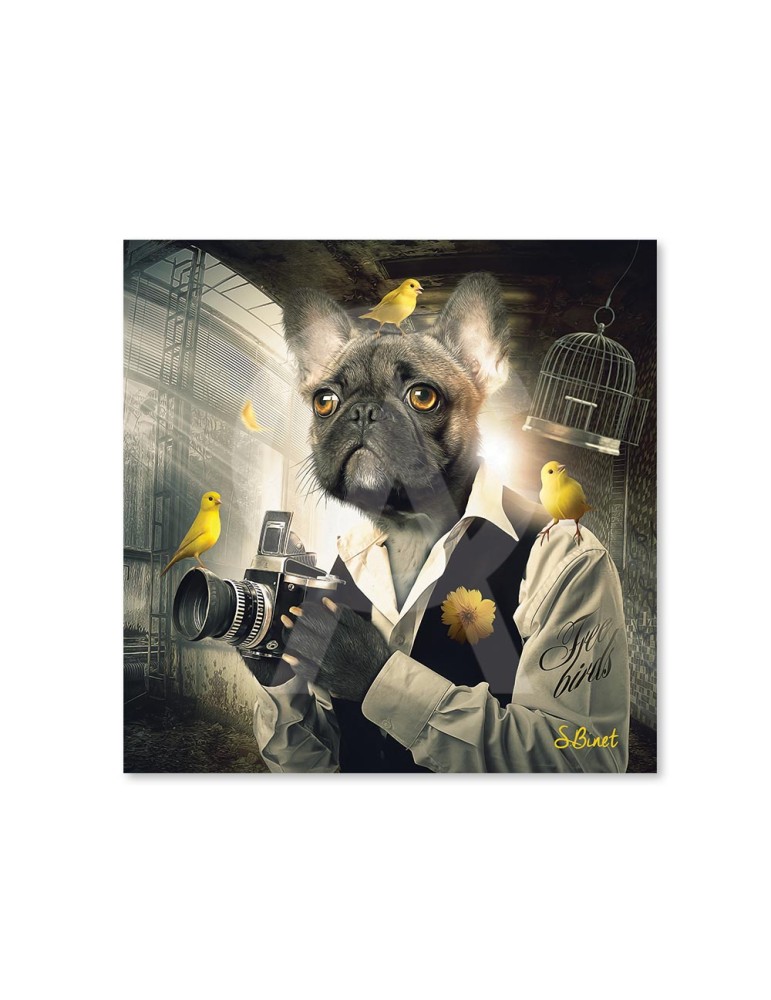 Chien Photo