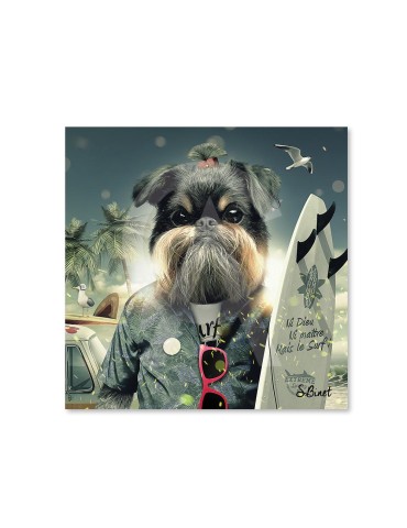 Chien surf