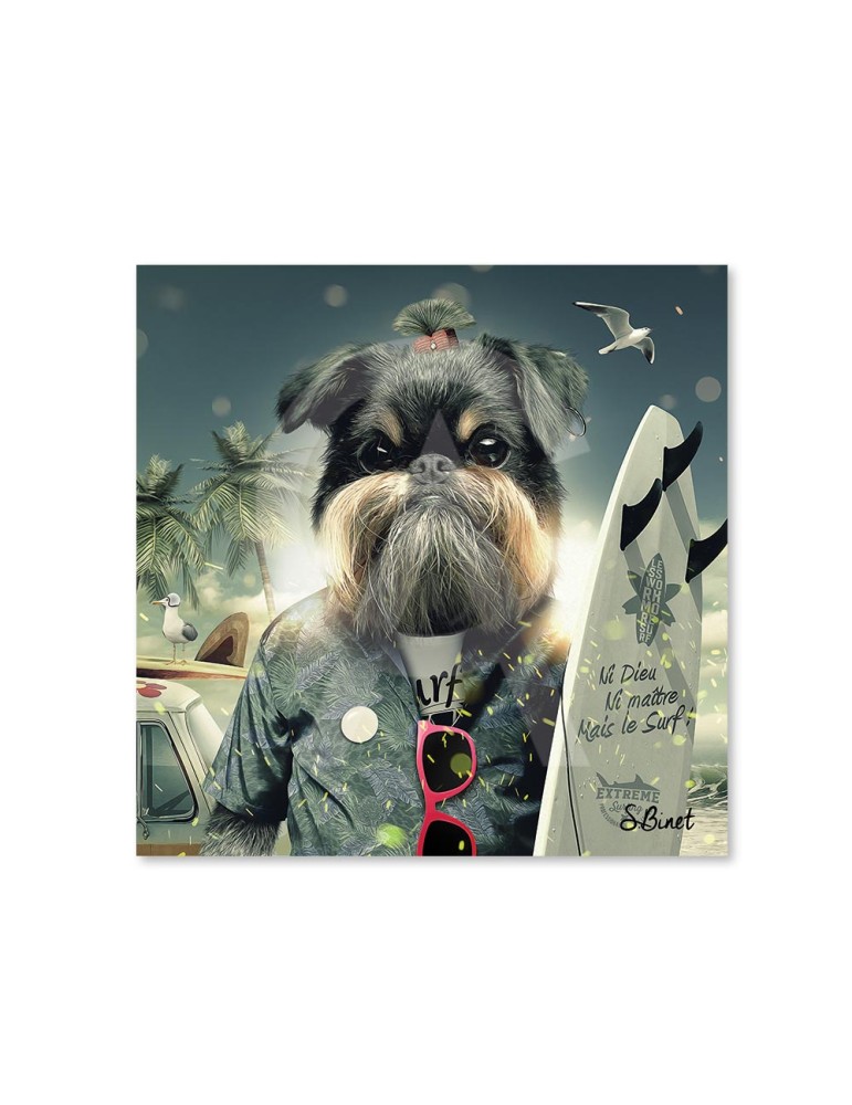 Chien surf