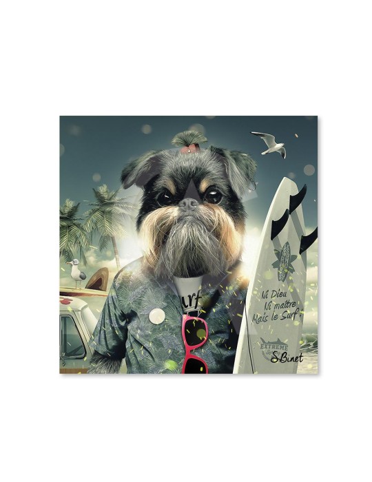 Chien surf