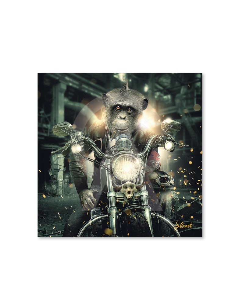 Gorille Moto