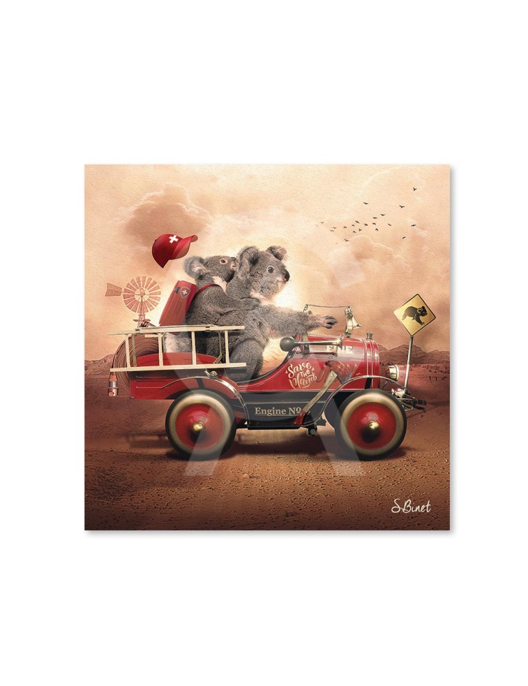 Koala