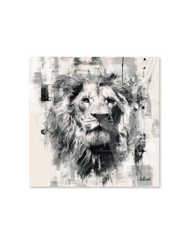 Lion NB
