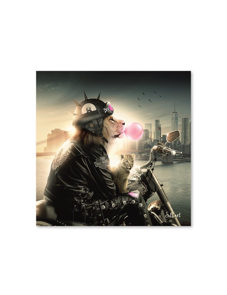 Lion NY
