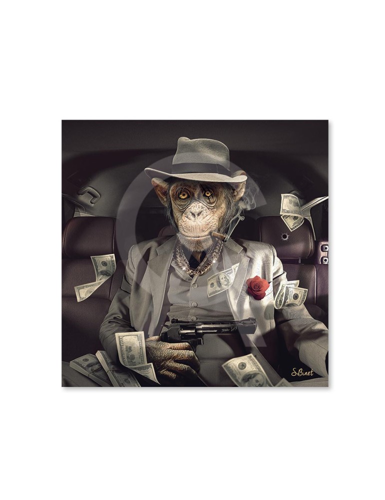 Singe mafia