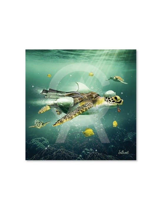 Tortue