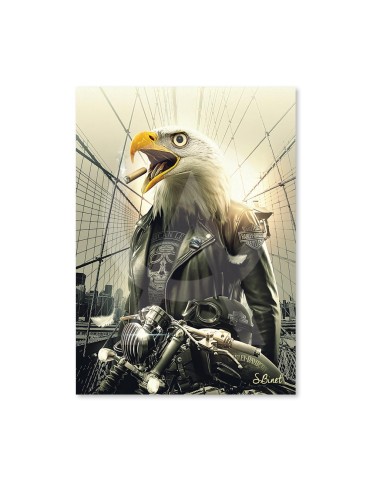 Aigle Moto