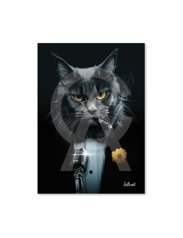 Chat Chanteur