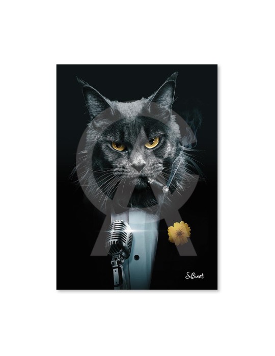 Chat Chanteur