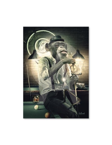 Singe Billard