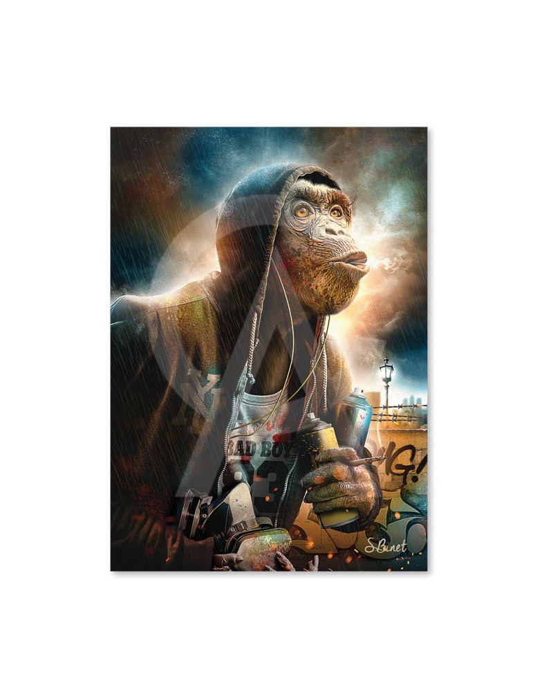 Singe Capuche