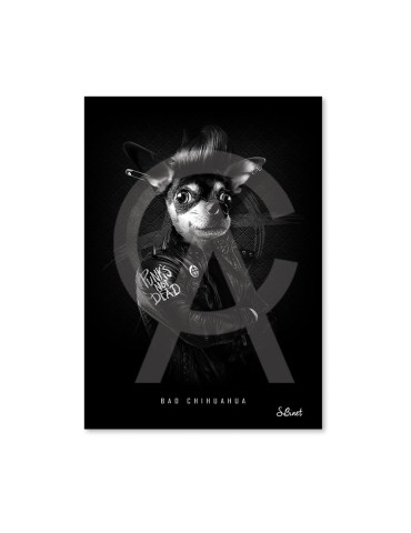 Bad Chihuahua