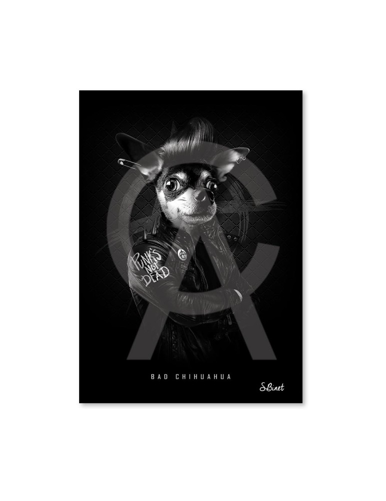 Bad Chihuahua