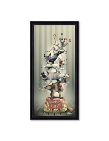 Cirque Canin – Sylvain Binet