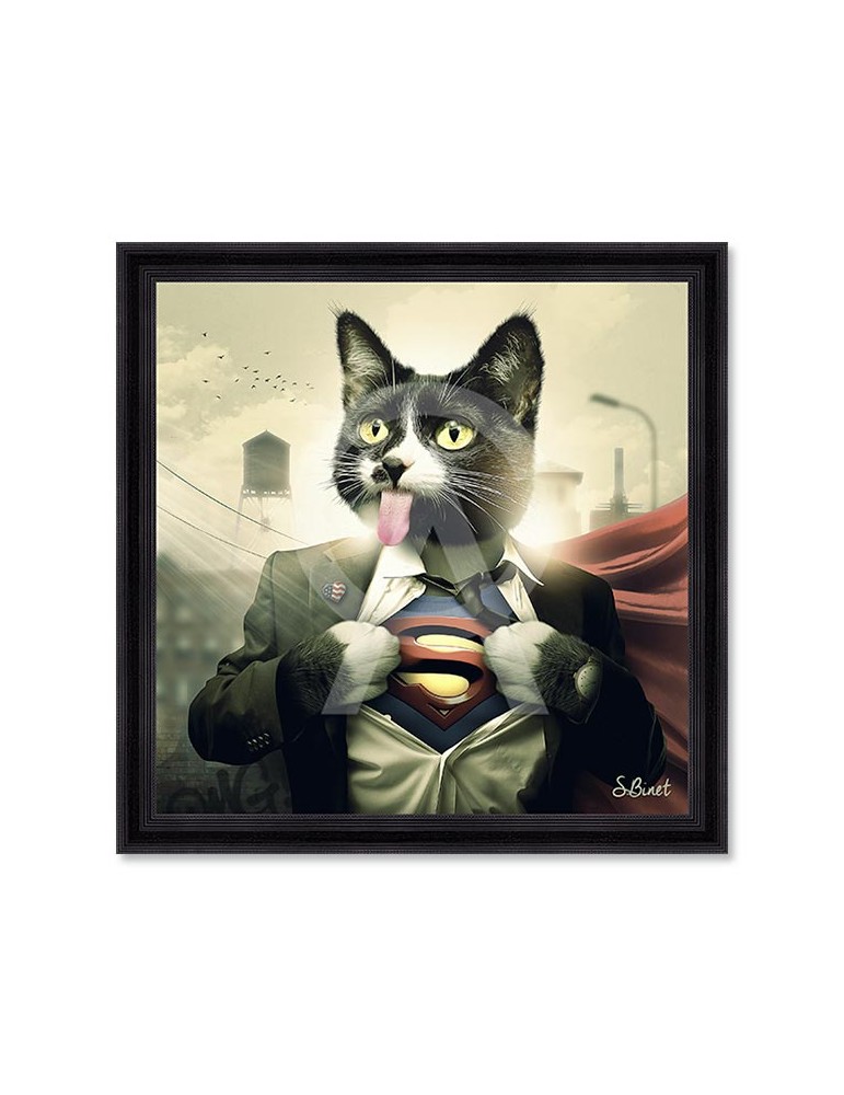 Supercat – Sylvain Binet