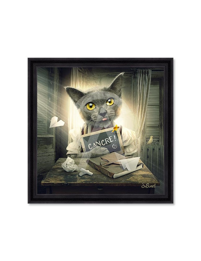 Chat cancre – Sylvain Binet