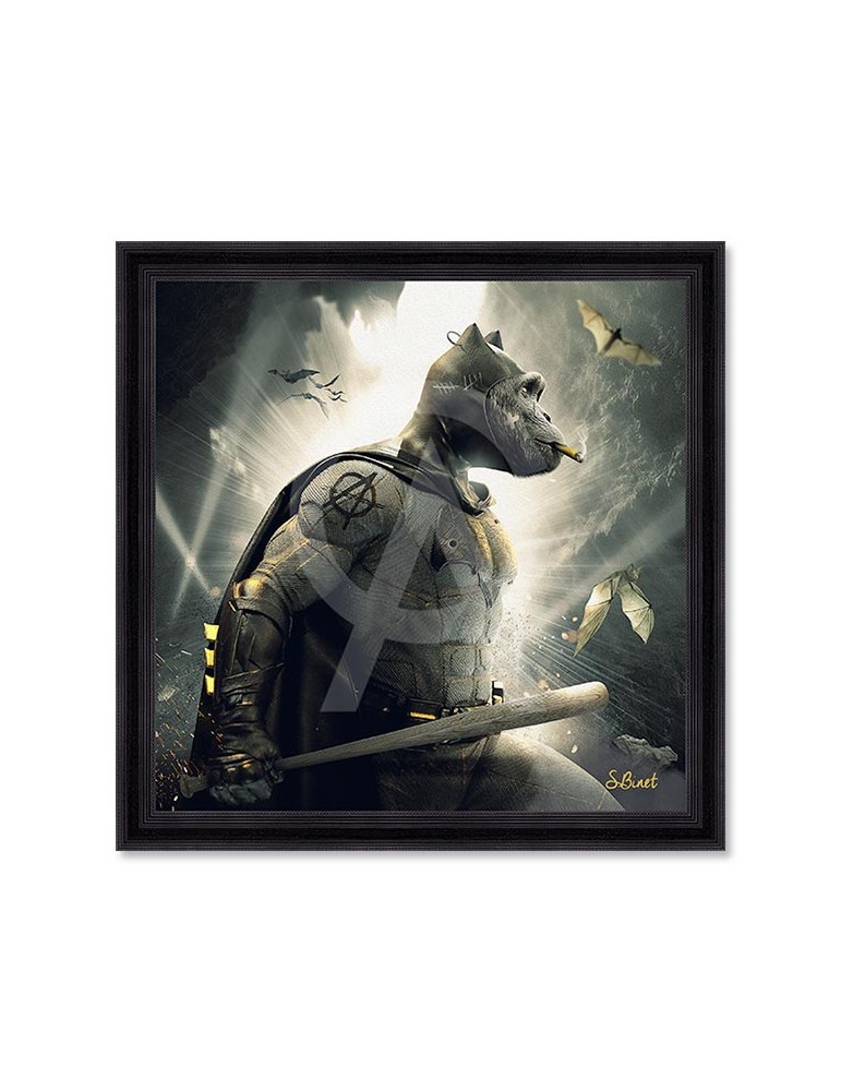 Singe Batman – Sylvain Binet