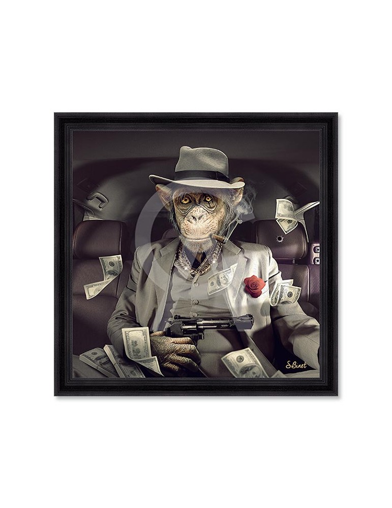 Singe Mafia – Sylvain Binet