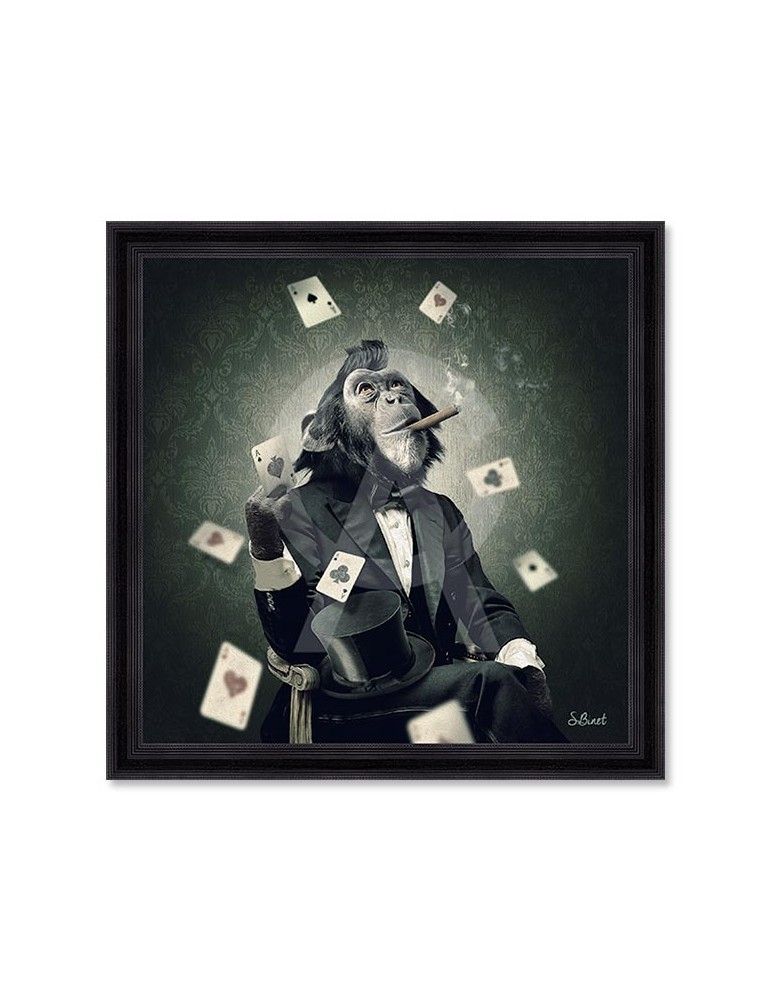 Singe Poker – Sylvain Binet