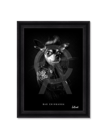 Bad Chihuahua – Sylvain Binet