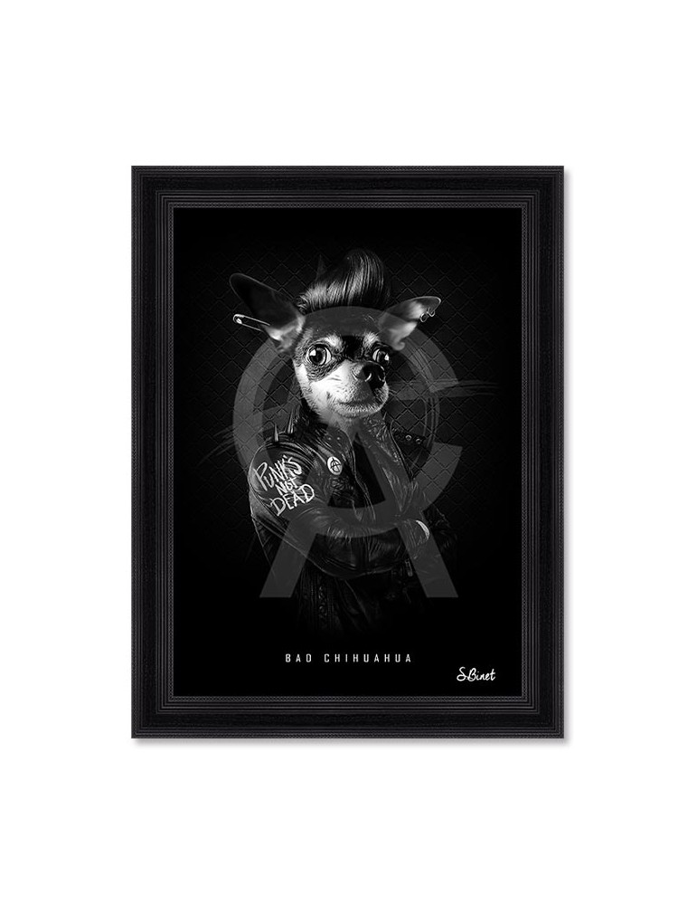 Bad Chihuahua – Sylvain Binet