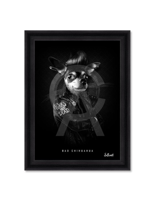 Bad Chihuahua – Sylvain Binet
