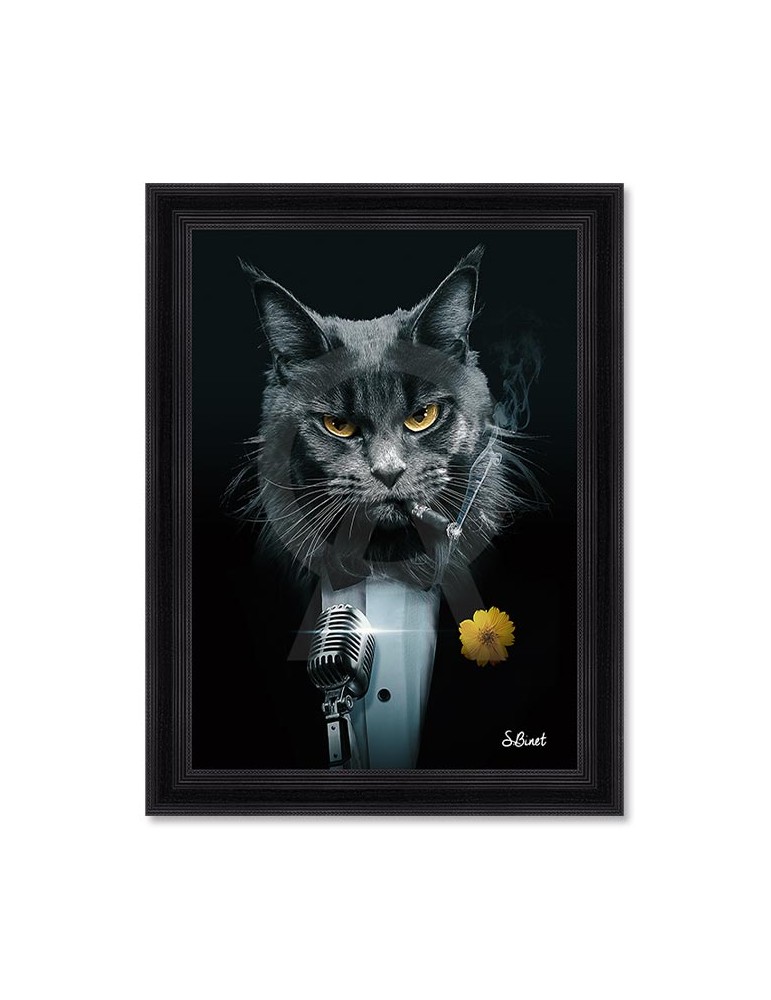 Chat Chanteur – Sylvain Binet