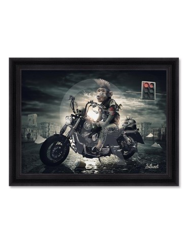 Singe motard – Sylvain Binet