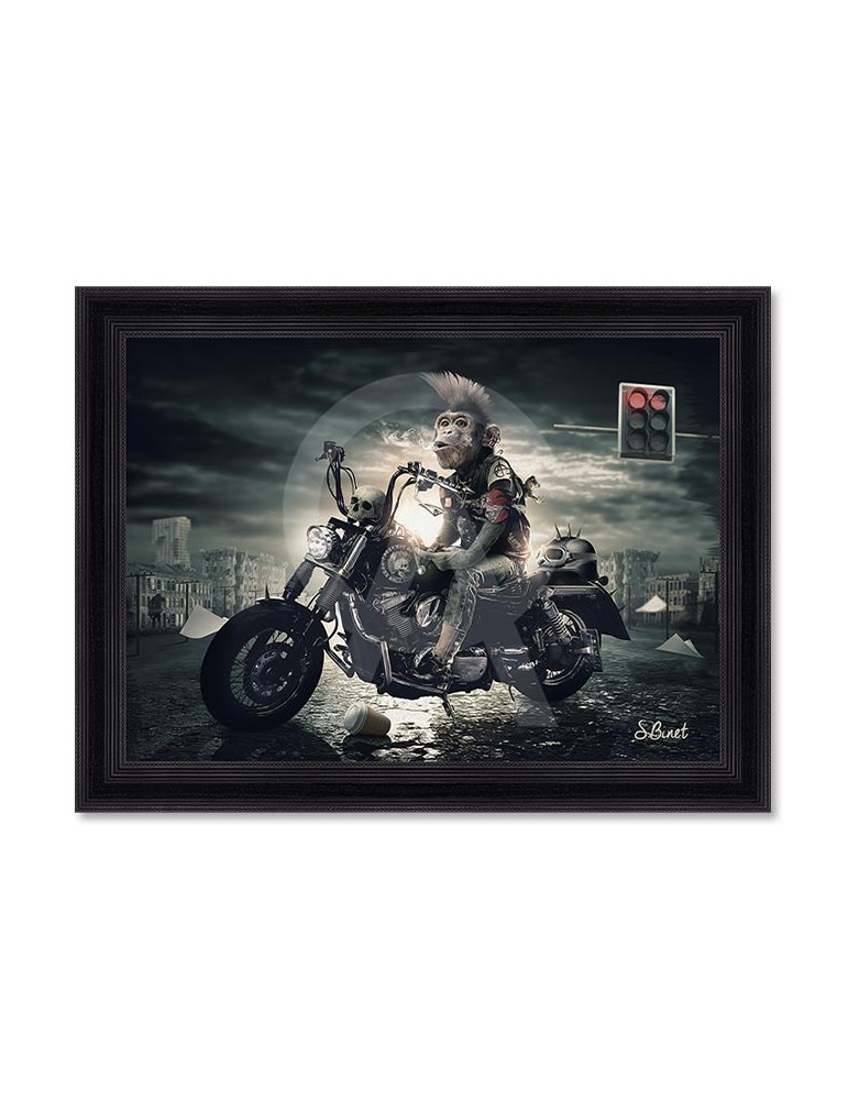 Singe motard – Sylvain Binet