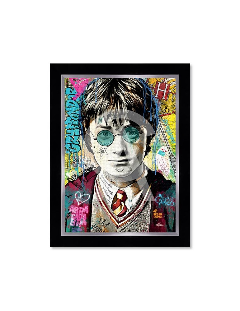 Harry Potter – Romaric