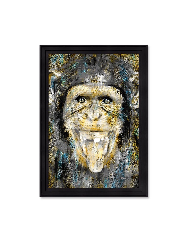 Singe – Romaric