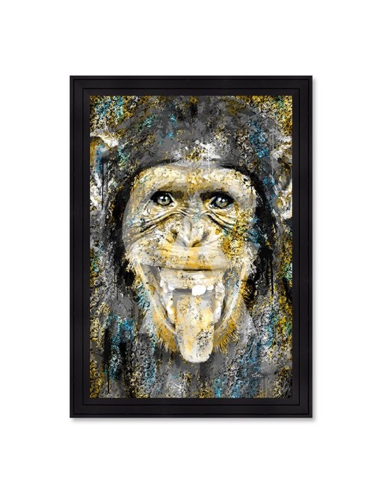 Singe – Romaric