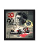 Ayrton Senna – Sylvain Binet