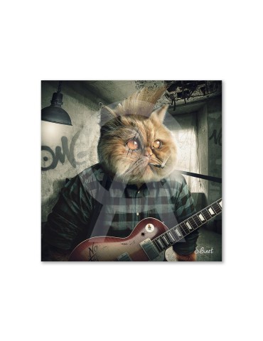 Chat punk