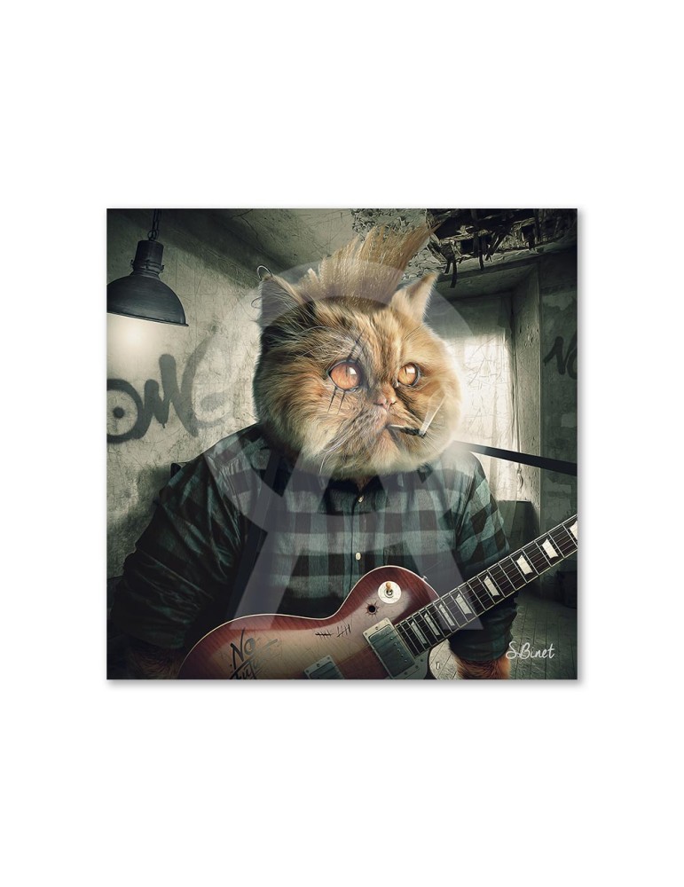Chat punk