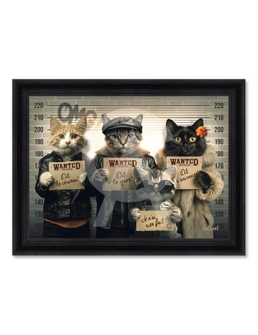 Chats voleurs – Sylvain Binet